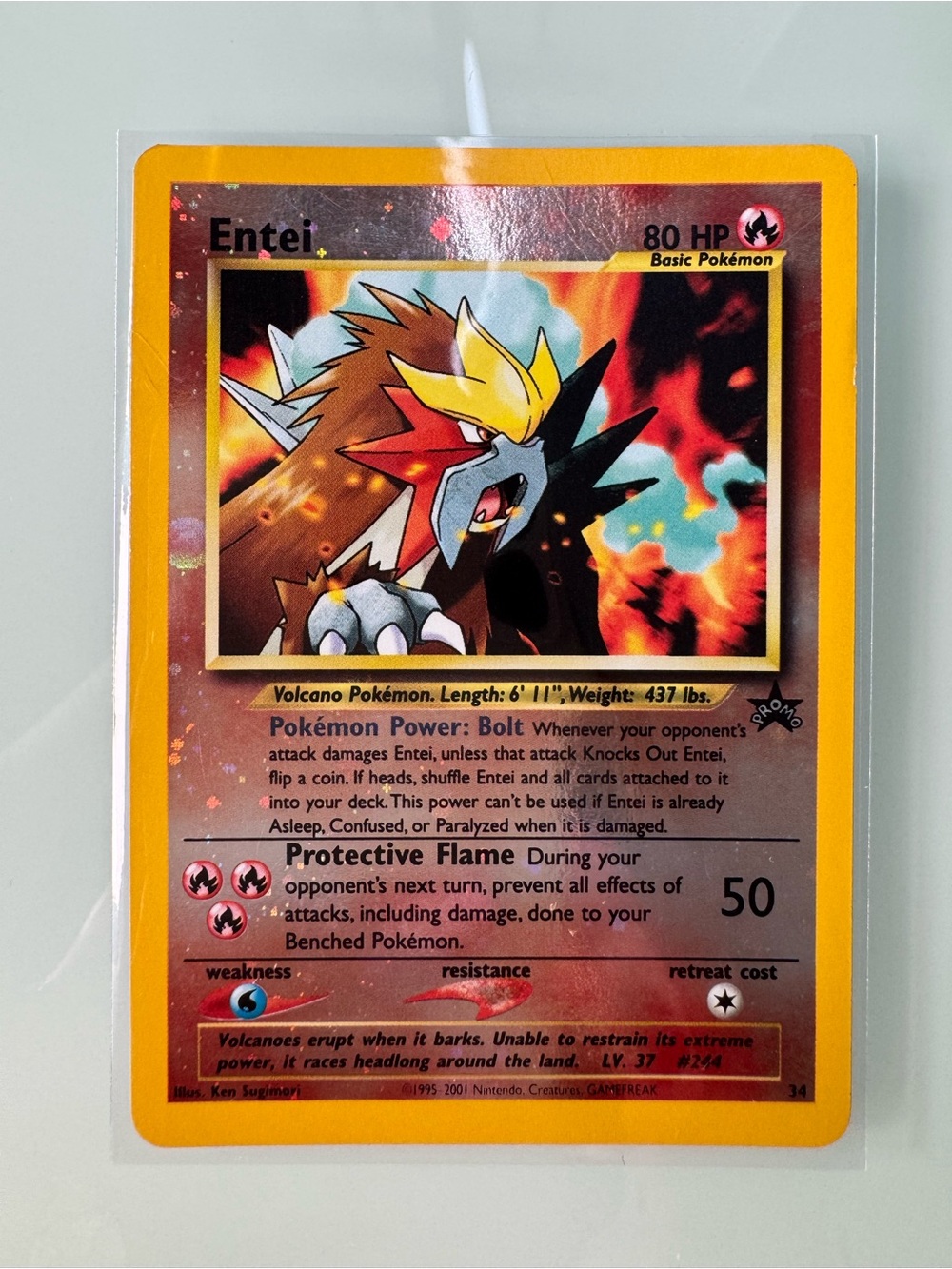 Entei Holo Pokemon Card